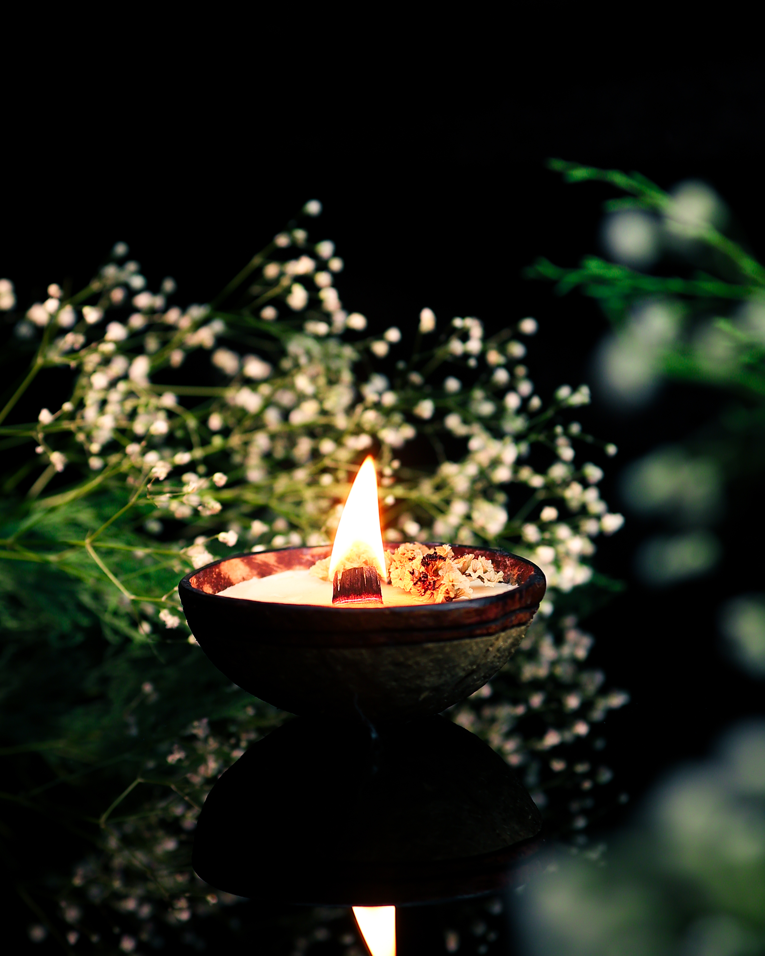 Coconut Soy Candle - Box of 2